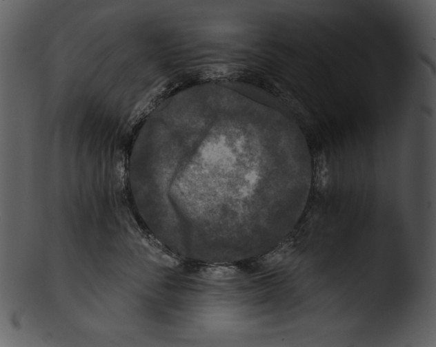 X0000103220716200809251135