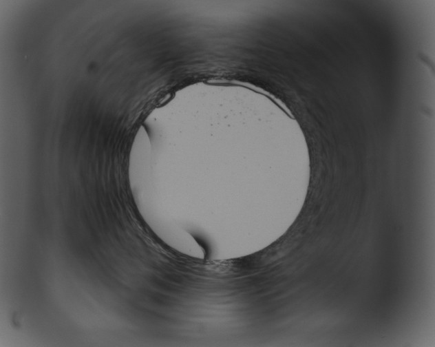 X0000103220720200809251135