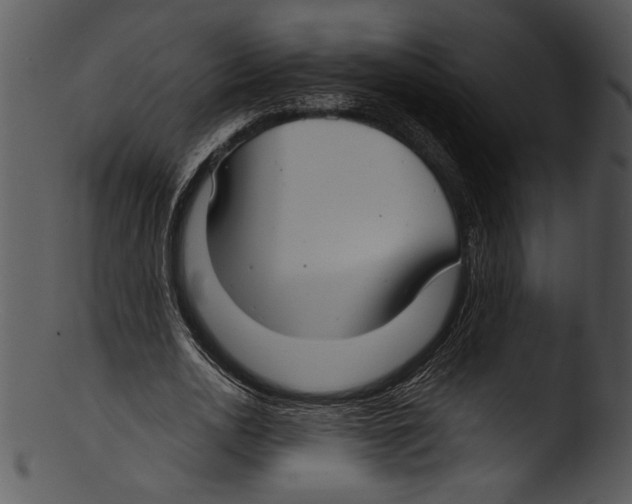 X0000103220726200809251134