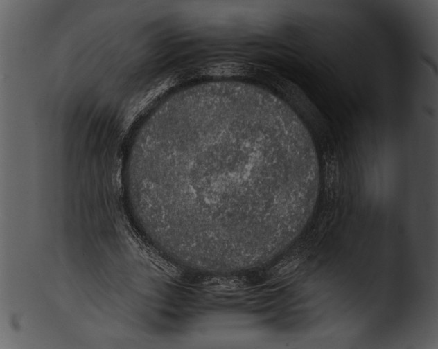 X0000103220727200809251135