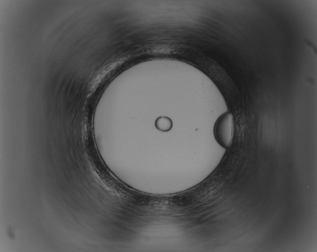 X0000103220728200809251135