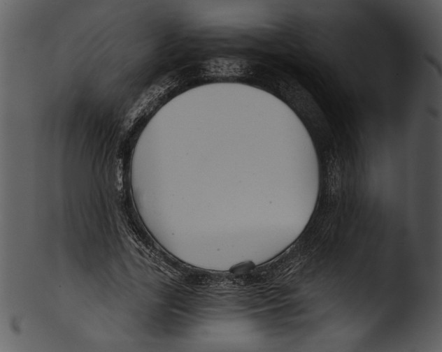 X0000103220731200809251135