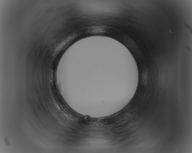 X0000103220732200809251135