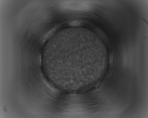 X0000103220733200809251135