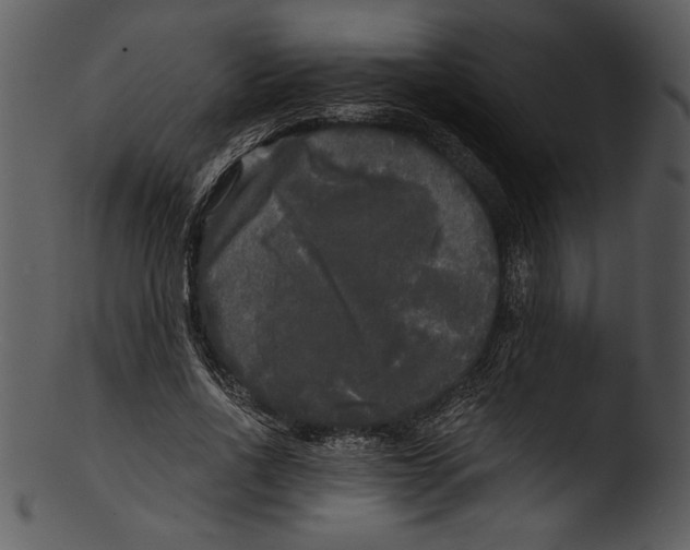 X0000103220734200809251135