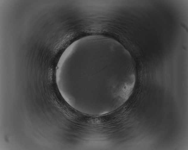 X0000103220735200809251135