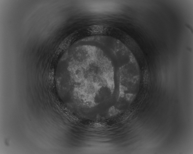 X0000103220737200809251135