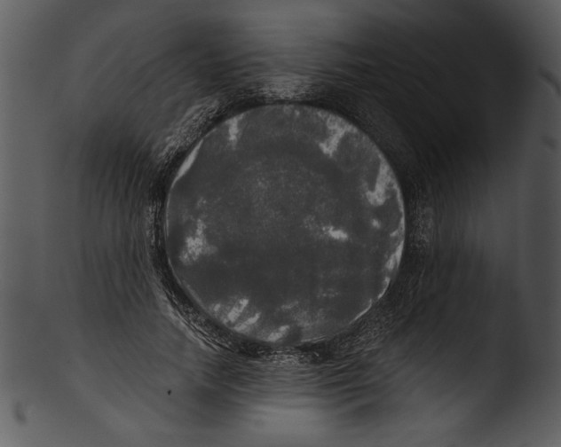 X0000103220738200809251135