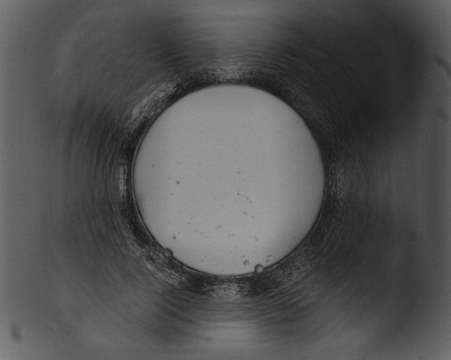 X0000103220740200809251135