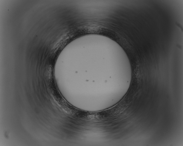 X0000103220744200809251135