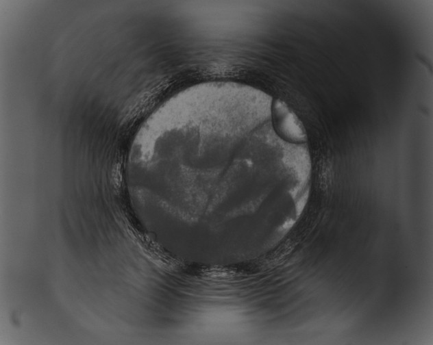 X0000103220746200809251135