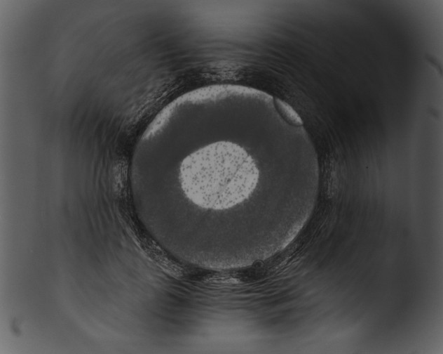 X0000103220747200809251135