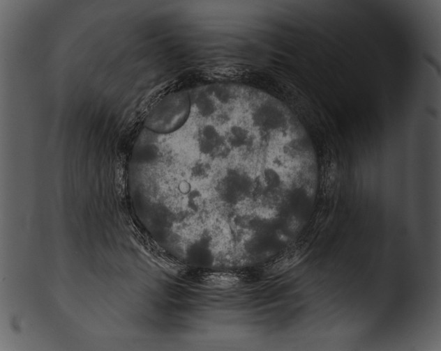 X0000103220749200809251135