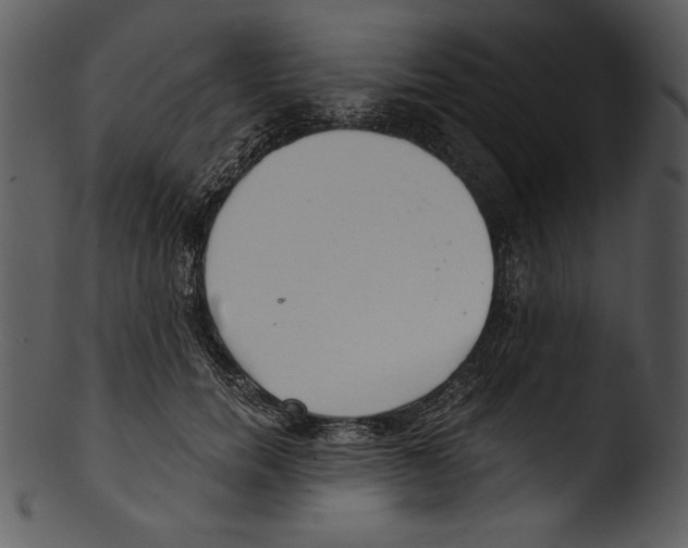 X0000103220750200809251135