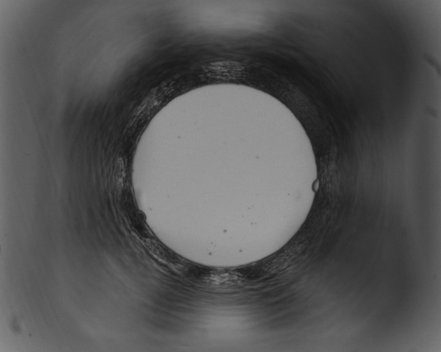 X0000103220752200809251135