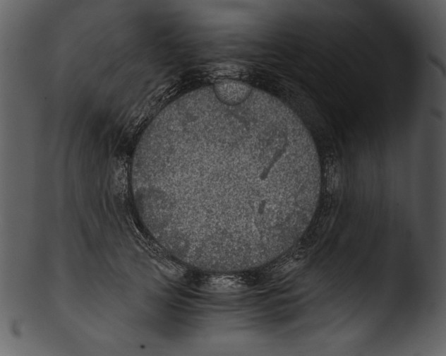 X0000103220753200809251135