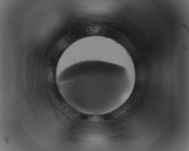 X0000103220754200809251135