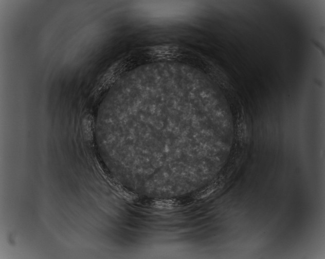 X0000103220757200809251135