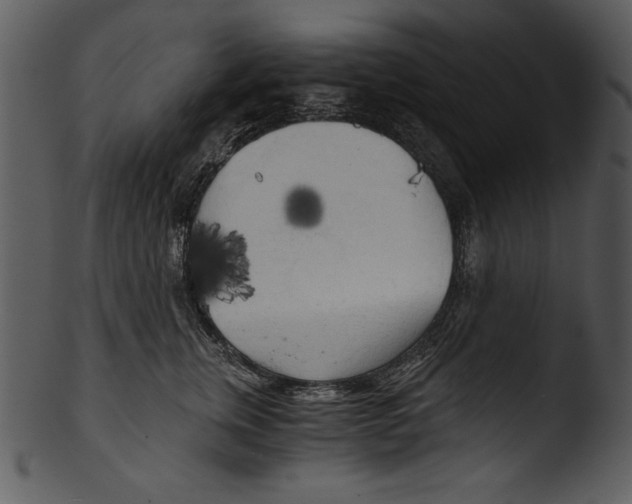 X0000103220759200809251135