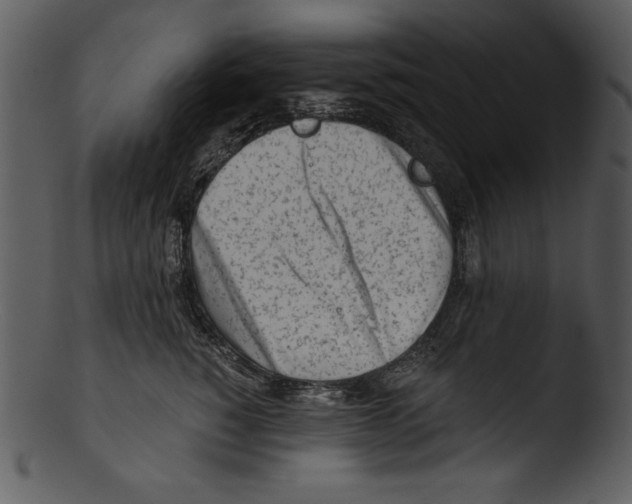 X0000103220760200809251135