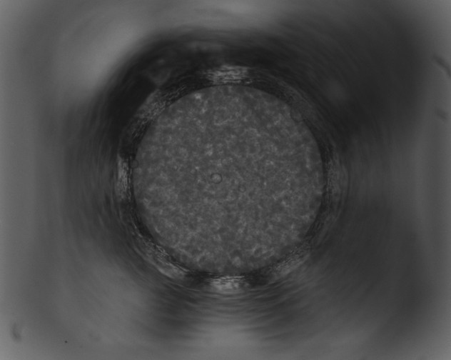 X0000103220761200809251135