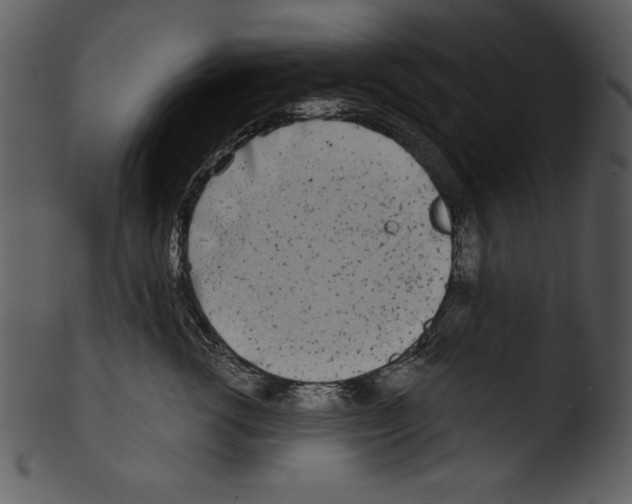 X0000103220762200809251135