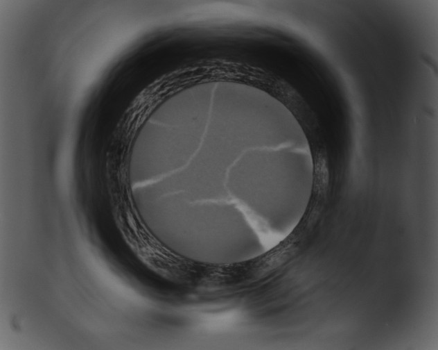 X0000103220765200809251135