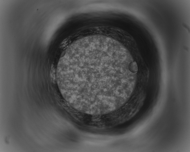 X0000103220766200809251135