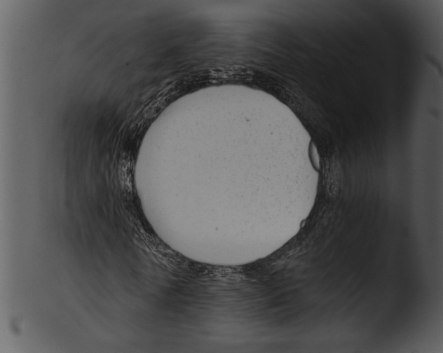 X0000103220770200809251134