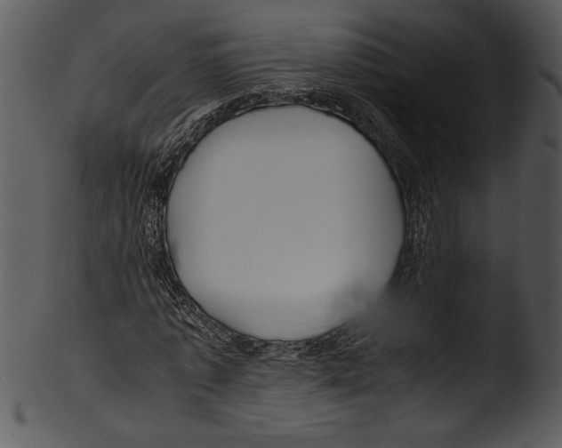 X0000103220773200809251134