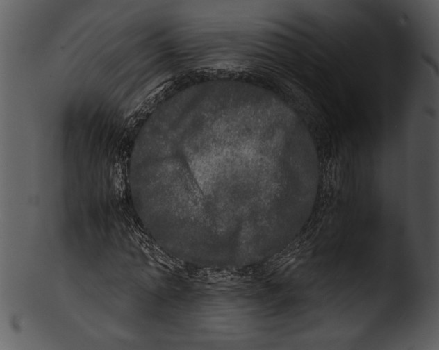 X0000103220774200809251134