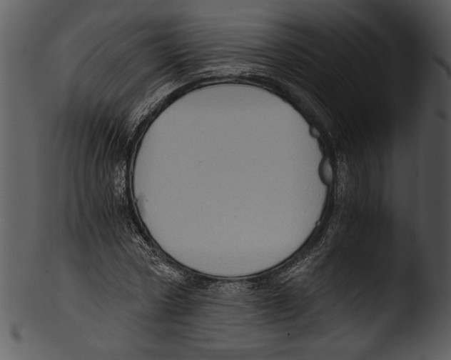 X0000103220778200809251134