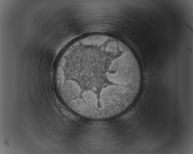 X0000103220779200809251134