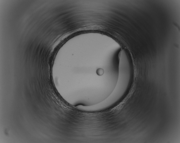 X0000103220781200809251134