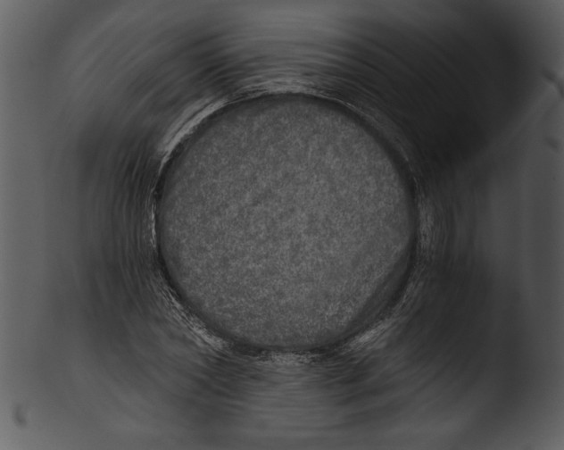 X0000103220782200809251134