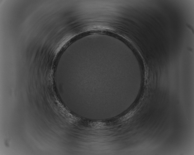 X0000103220783200809251134