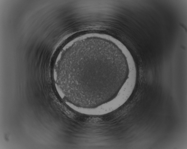 X0000103220784200809251134