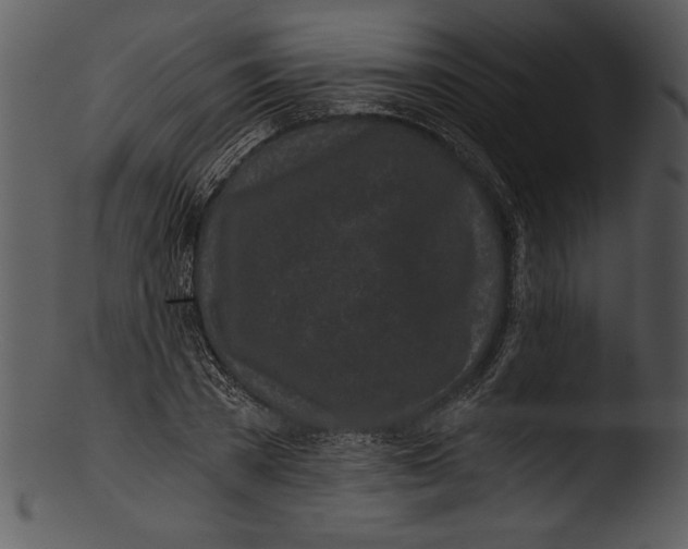 X0000103220785200809251134