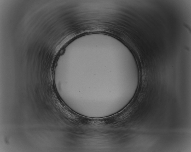 X0000103220789200809251134