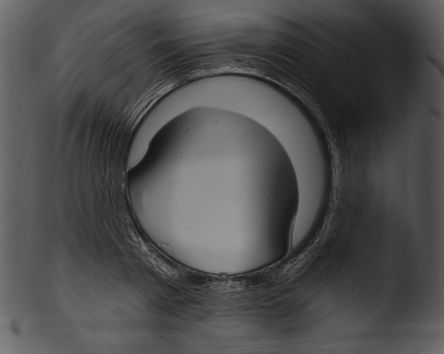 X0000103220793200809251134