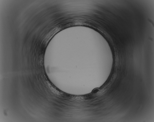 X0000103220801200809251134