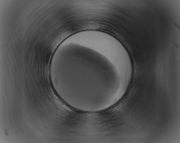 X0000103220802200809251134