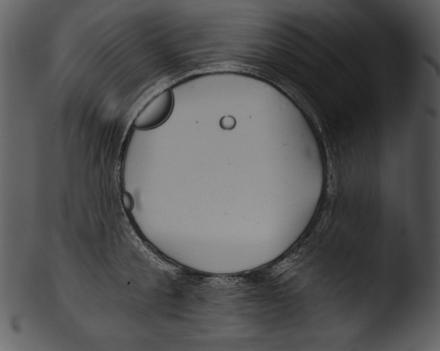 X0000103220805200809251134