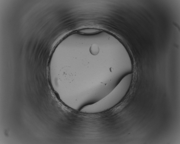 X0000103220807200809251134