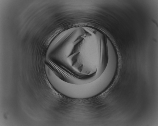 X0000103220809200809251134