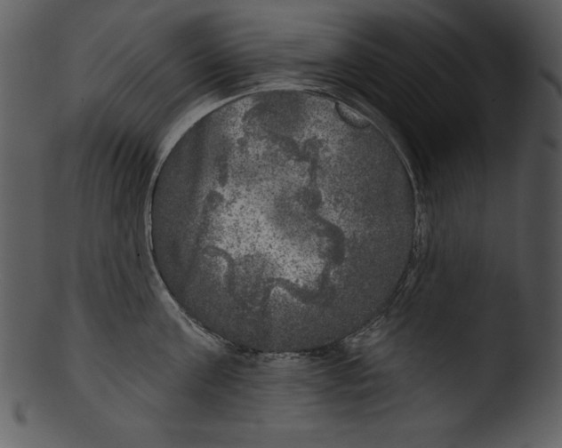 X0000103220811200809251134