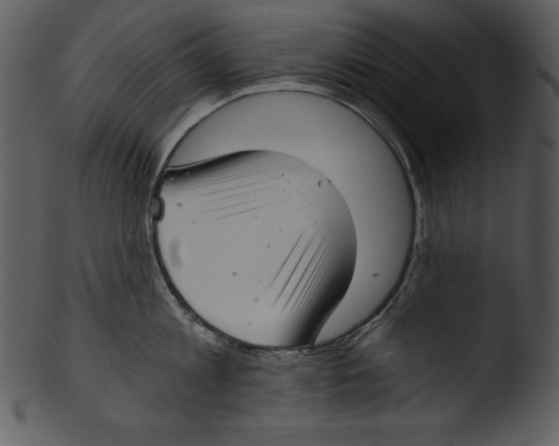 X0000103220813200809251134