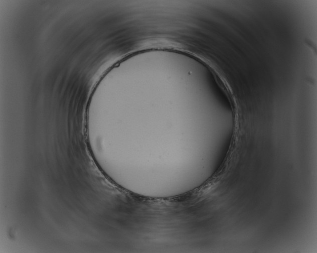 X0000103220815200809251134