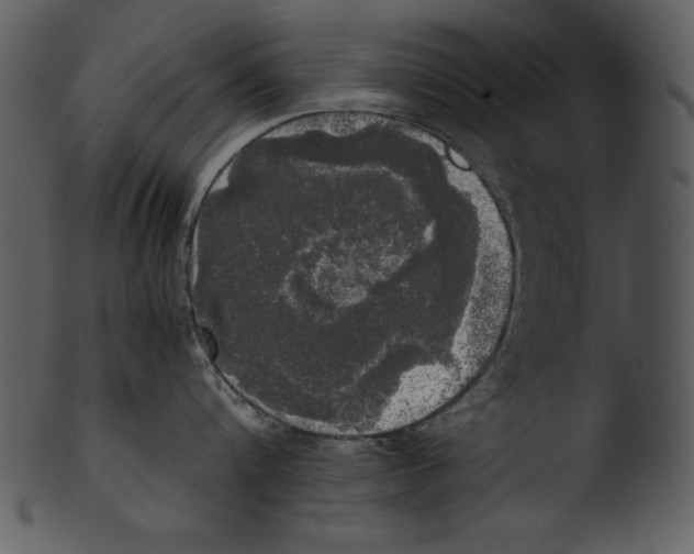 X0000103220816200809251134