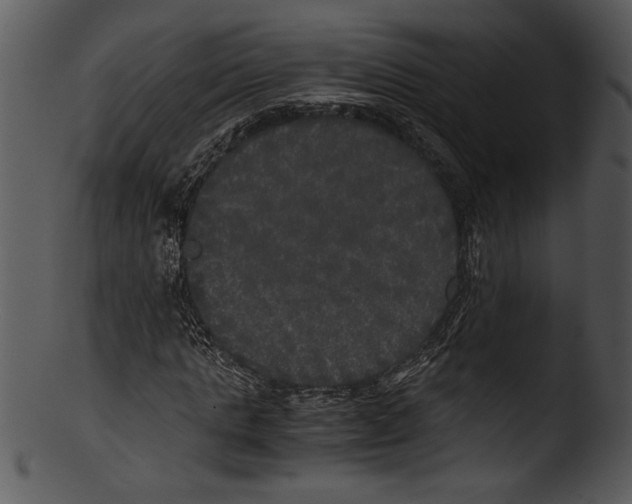 X0000103220821200809251133